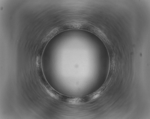 X0000084560122200703021433