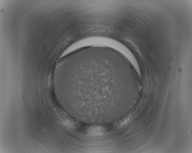 X0000084560123200703021433