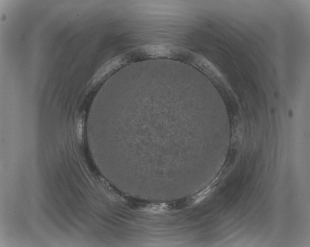 X0000084560124200703021433