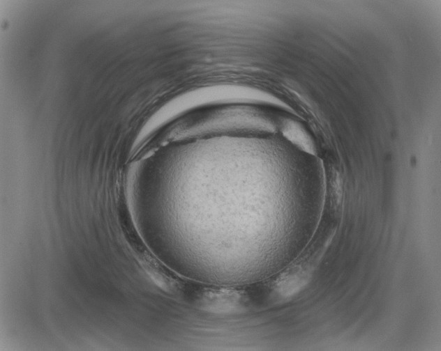 X0000084560125200703021433