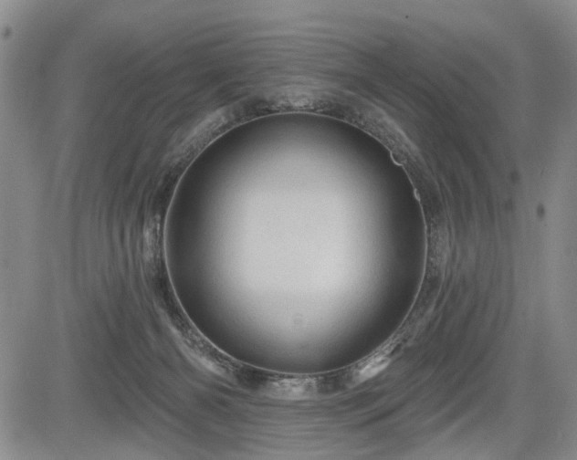 X0000084560126200703021433