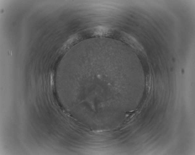 X0000084560127200703021433