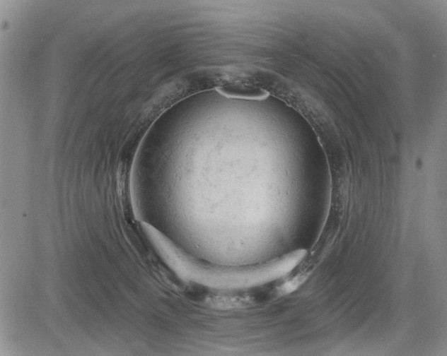 X0000084560129200703021433