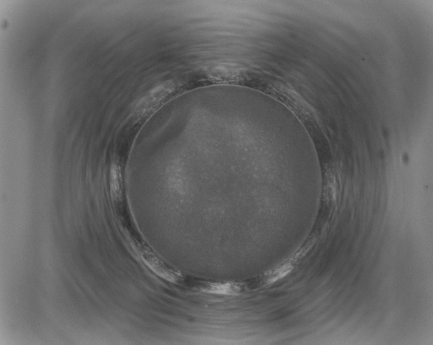 X0000084560130200703021433