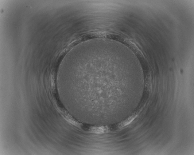 X0000084560131200703021433