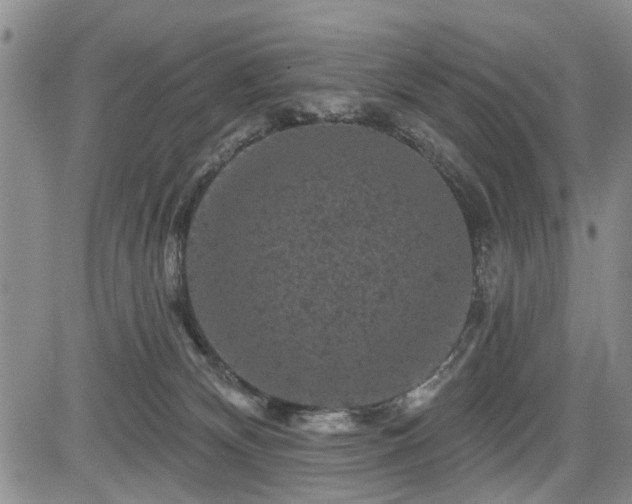 X0000084560132200703021433