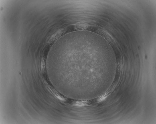 X0000084560134200703021433