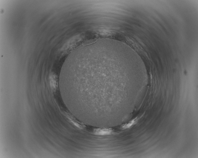 X0000084560135200703021433