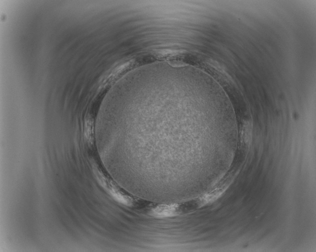 X0000084560138200703021433