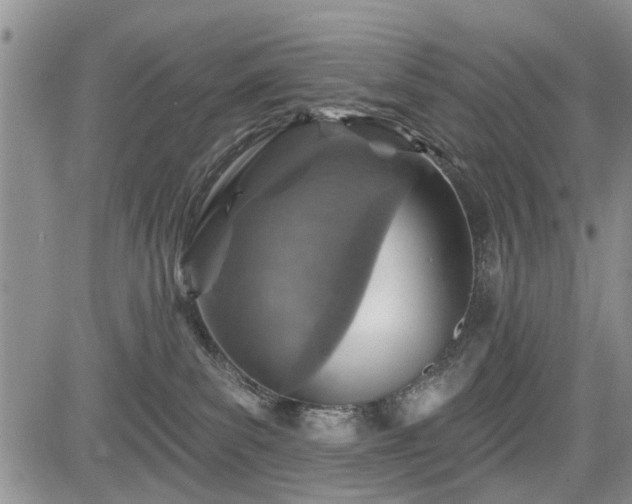 X0000084560139200703021433