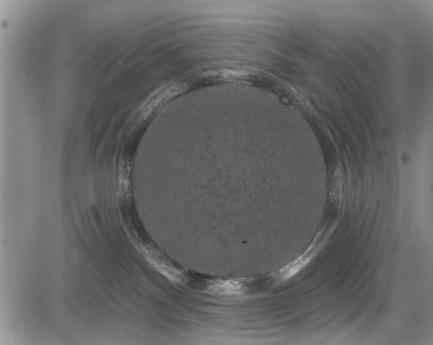 X0000084560140200703021433