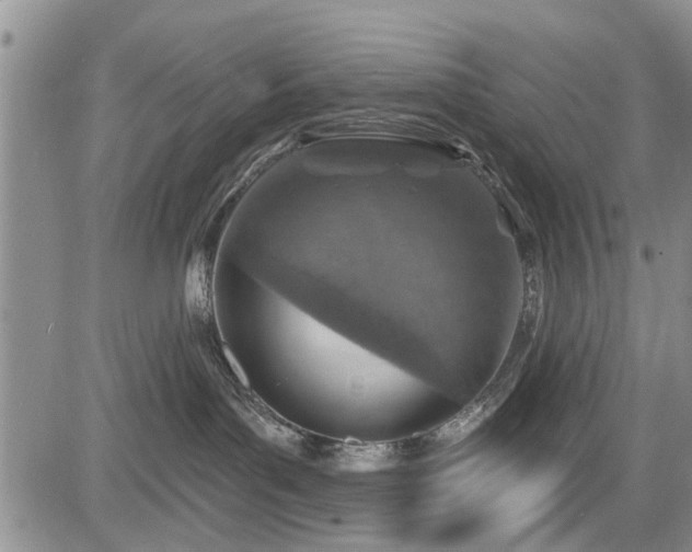 X0000084560143200703021433