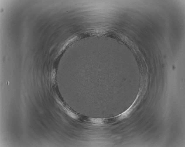 X0000084560144200703021433