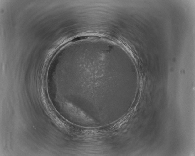 X0000084560145200703021432