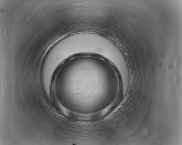 X0000084560146200703021432