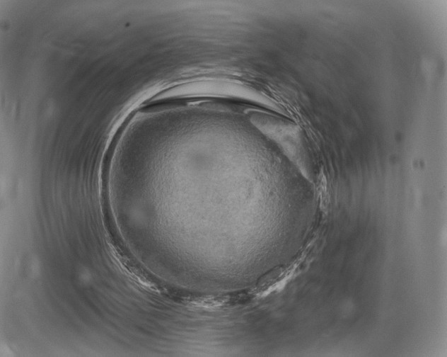 X0000084560148200703021432