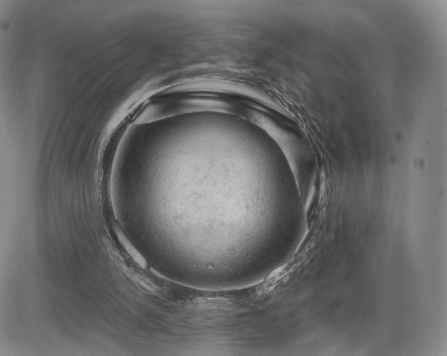 X0000084560150200703021432