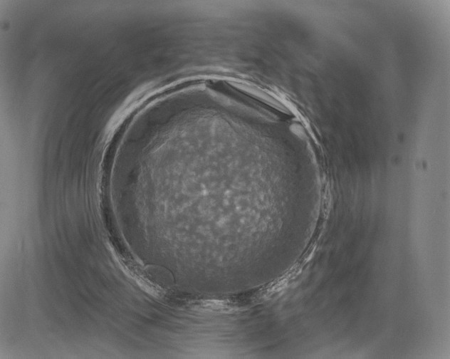 X0000084560151200703021432