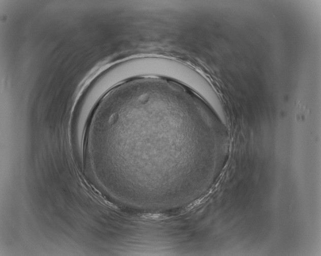 X0000084560152200703021432