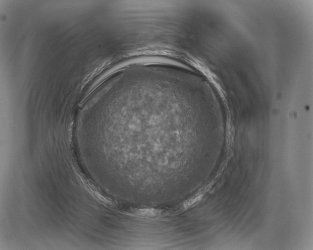 X0000084560153200703021432