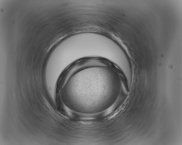 X0000084560154200703021432