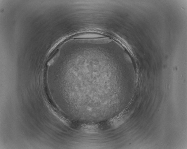 X0000084560155200703021432