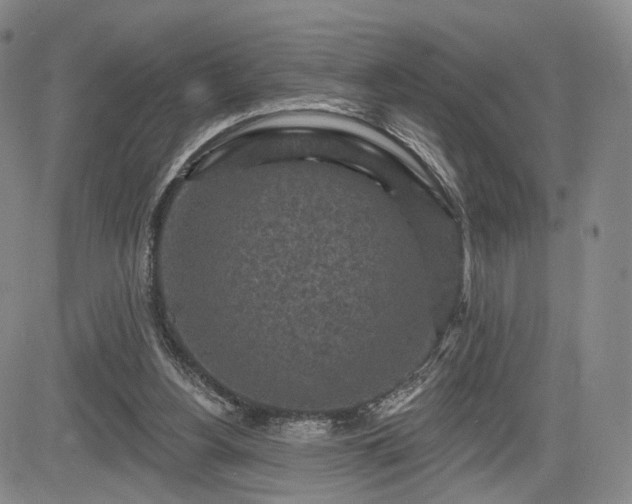 X0000084560156200703021432