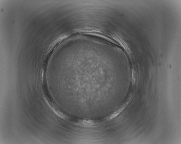 X0000084560157200703021432