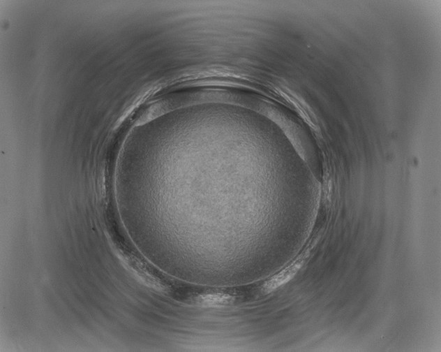 X0000084560158200703021432