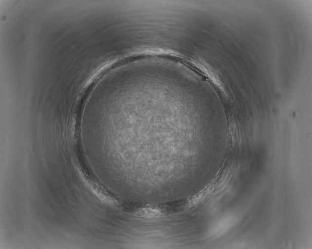 X0000084560159200703021432