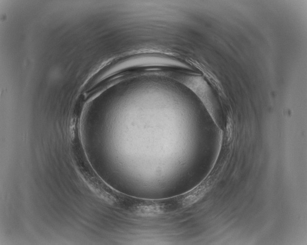 X0000084560160200703021432