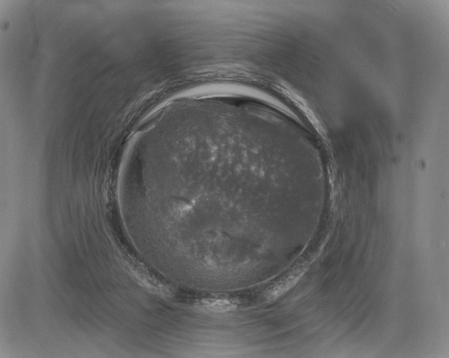 X0000084560161200703021432