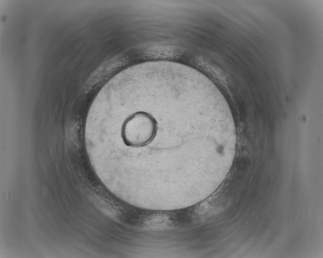 X0000084560162200703021432