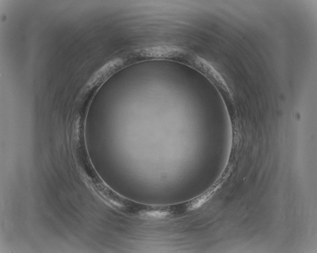 X0000084560163200703021432