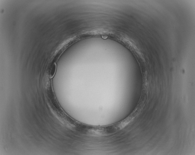 X0000084560164200703021432