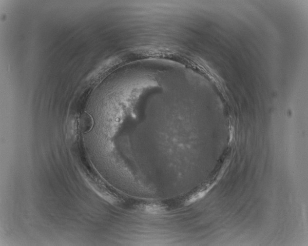 X0000084560165200703021432