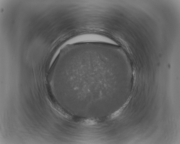 X0000084560166200703021432