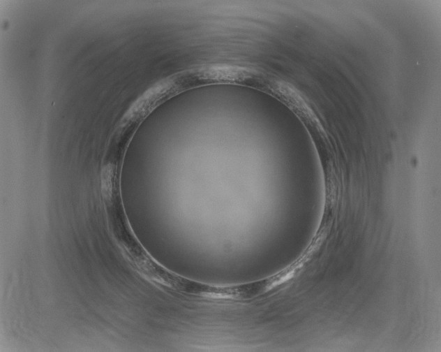 X0000084560167200703021433