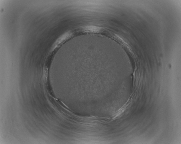 X0000084560168200703021433