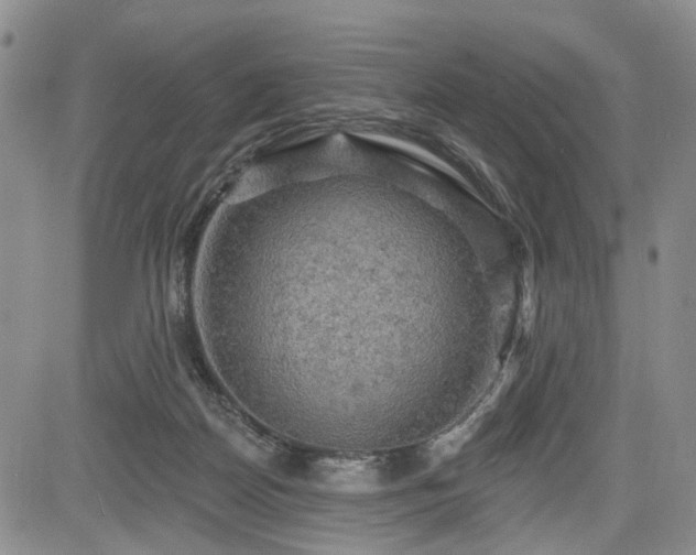 X0000084560170200703021433