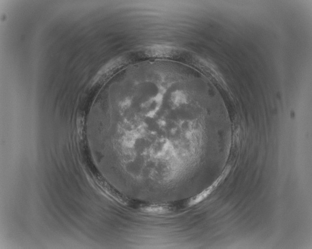 X0000084560171200703021433