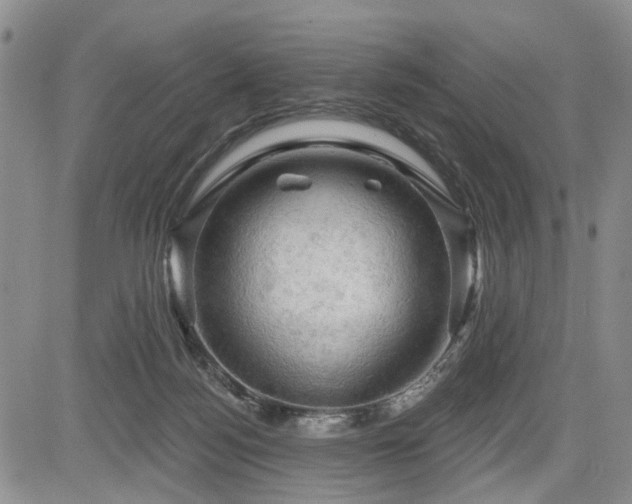 X0000084560172200703021433