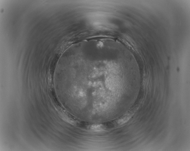 X0000084560173200703021433