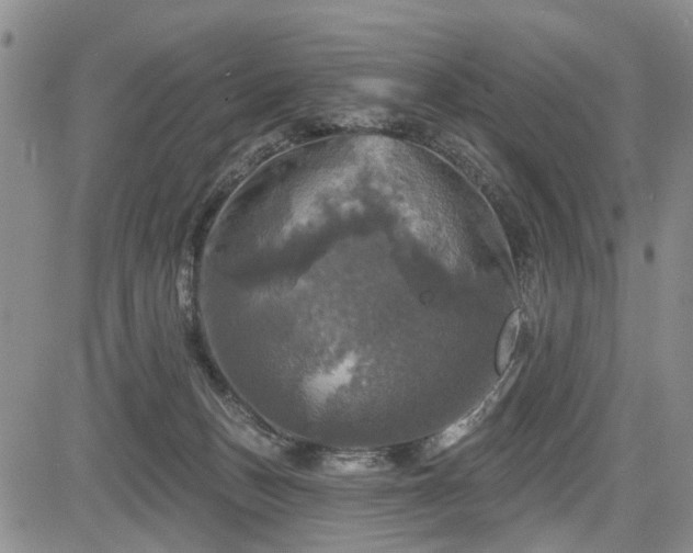 X0000084560175200703021433