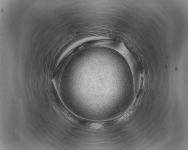 X0000084560176200703021433