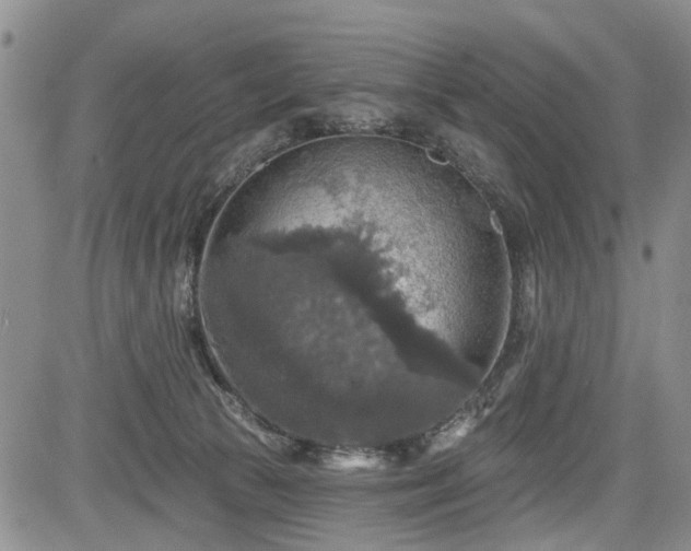 X0000084560177200703021433