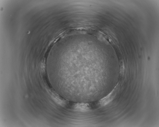 X0000084560179200703021433