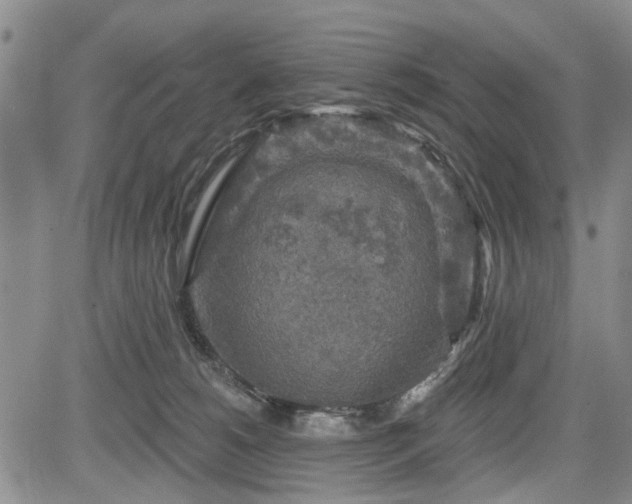 X0000084560180200703021433