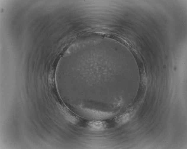 X0000084560181200703021433