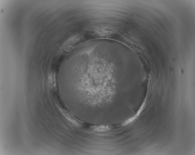 X0000084560182200703021433